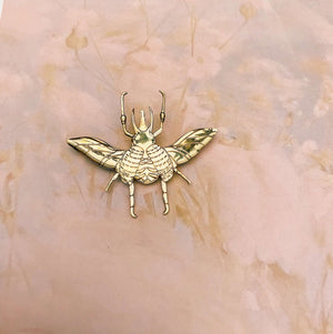 Prendedor Escarabajo Pelotero