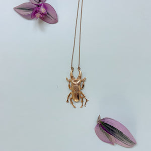 Collar escarabajo lucano ciervo